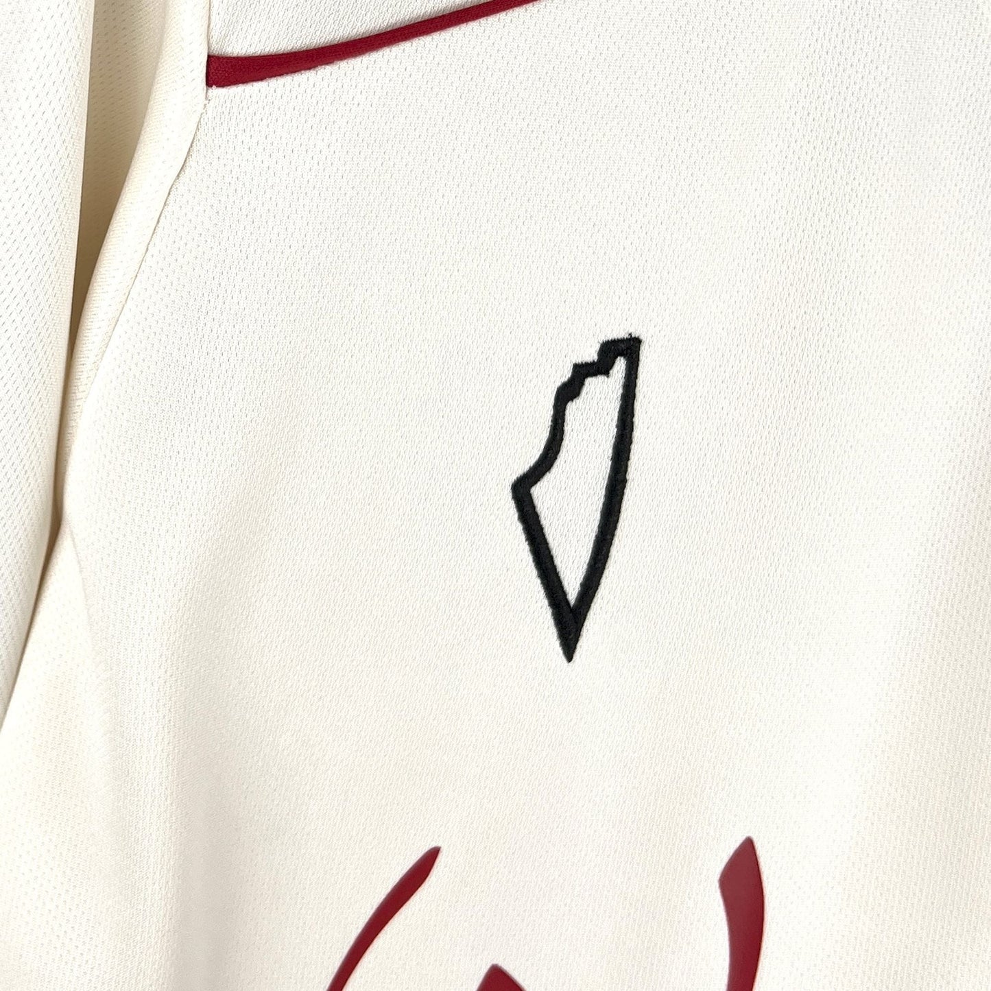 2025/2026 Palestine Paliroots Jersey