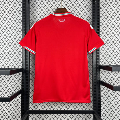 2026 Wales Home World Cup Football Jersey