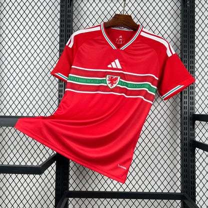 2026 Wales WM Heim