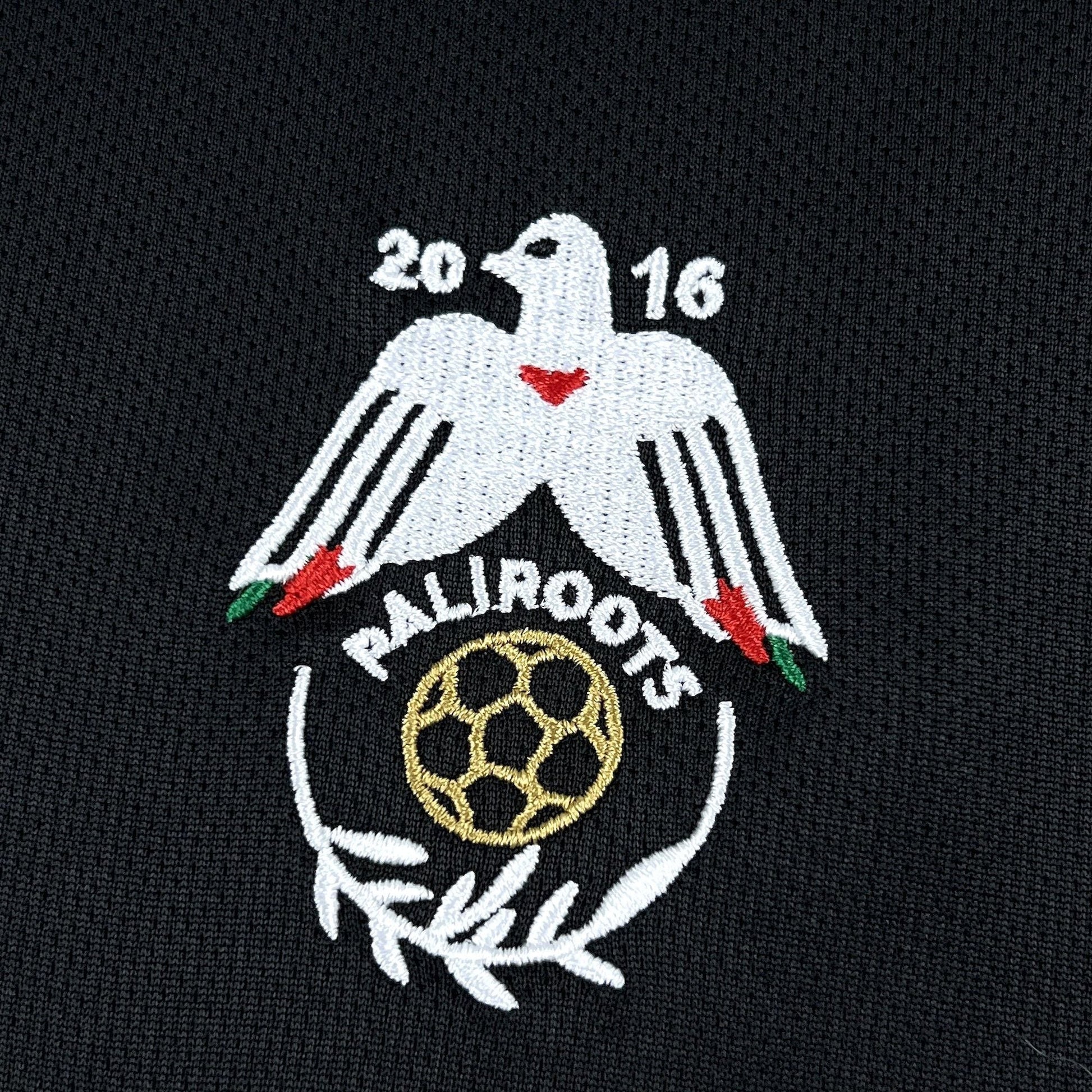 2025/2026 Palestine Paliroots Black Jersey